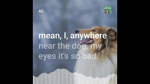 9 Dog Allergy Treatment Homeopathy Alternative Medicine