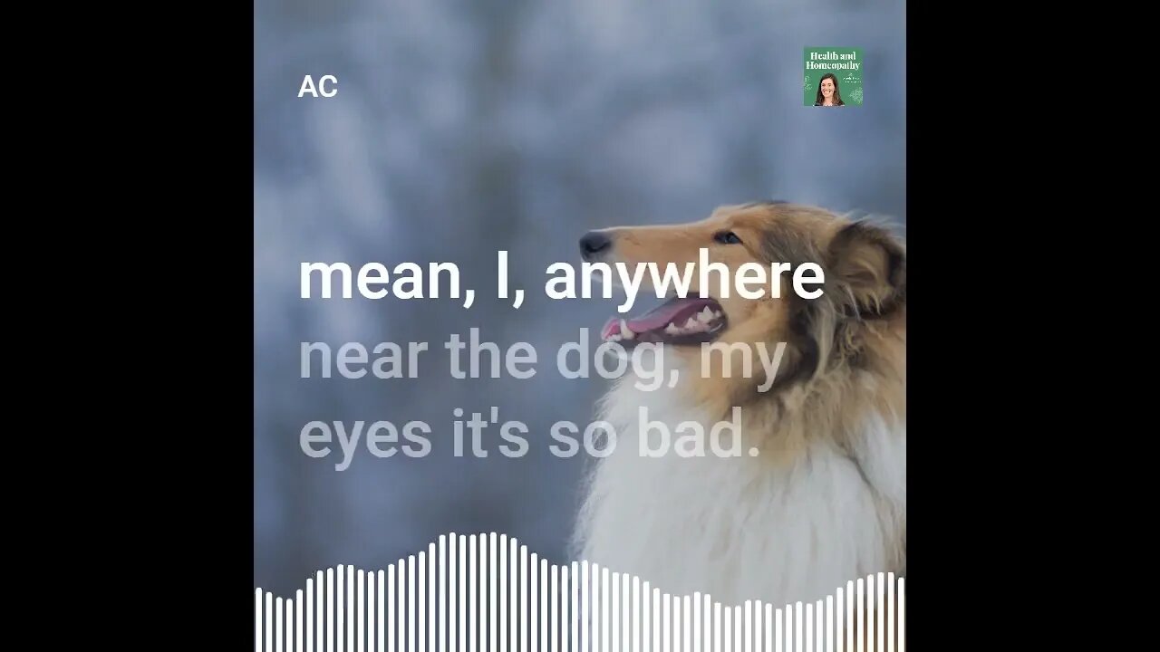 9 Dog Allergy Treatment Homeopathy Alternative Medicine