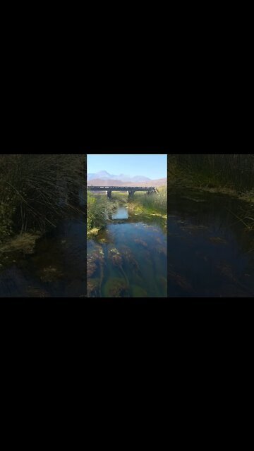 Bless-the Lord oh my soul! Ps.103:1 Lone Pine, Ca