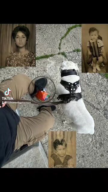 MAMA RAISED A SOLDIER NOT A BITCH NOT A BITCH