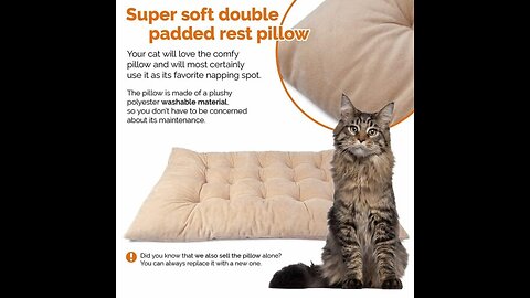 PetLuv"Happy Cat Premium Cat Carrier Soft Sided Foldable Top & Side Loading Pet Crate & Carrier...