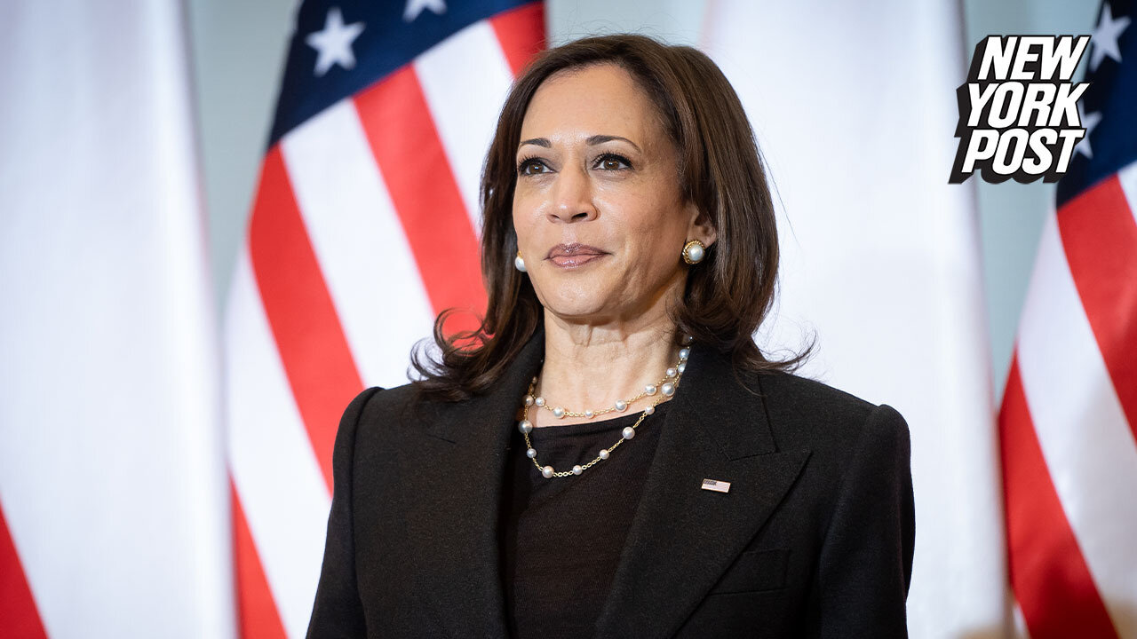 Biden comms director blamed Harris for office chaos, new book says