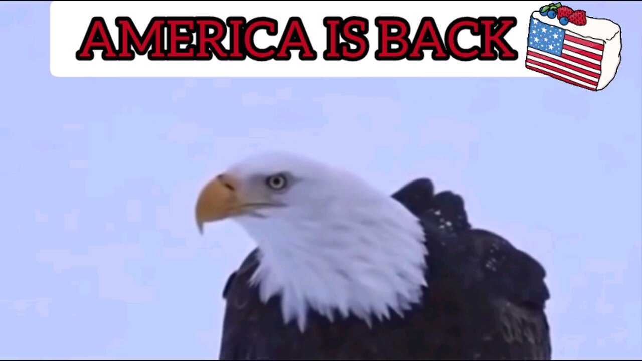 America is back and stronger than ever