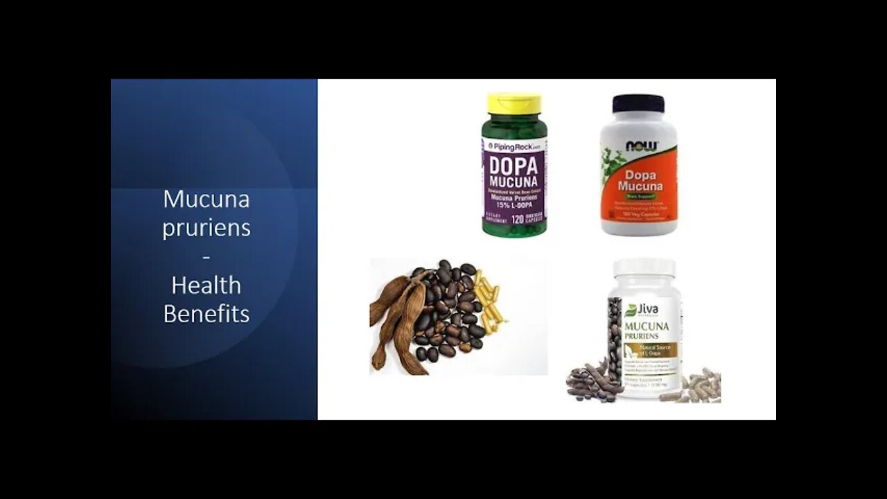 Mucuna pruriens - Velvet Bean - The Natural Dopamine Booster