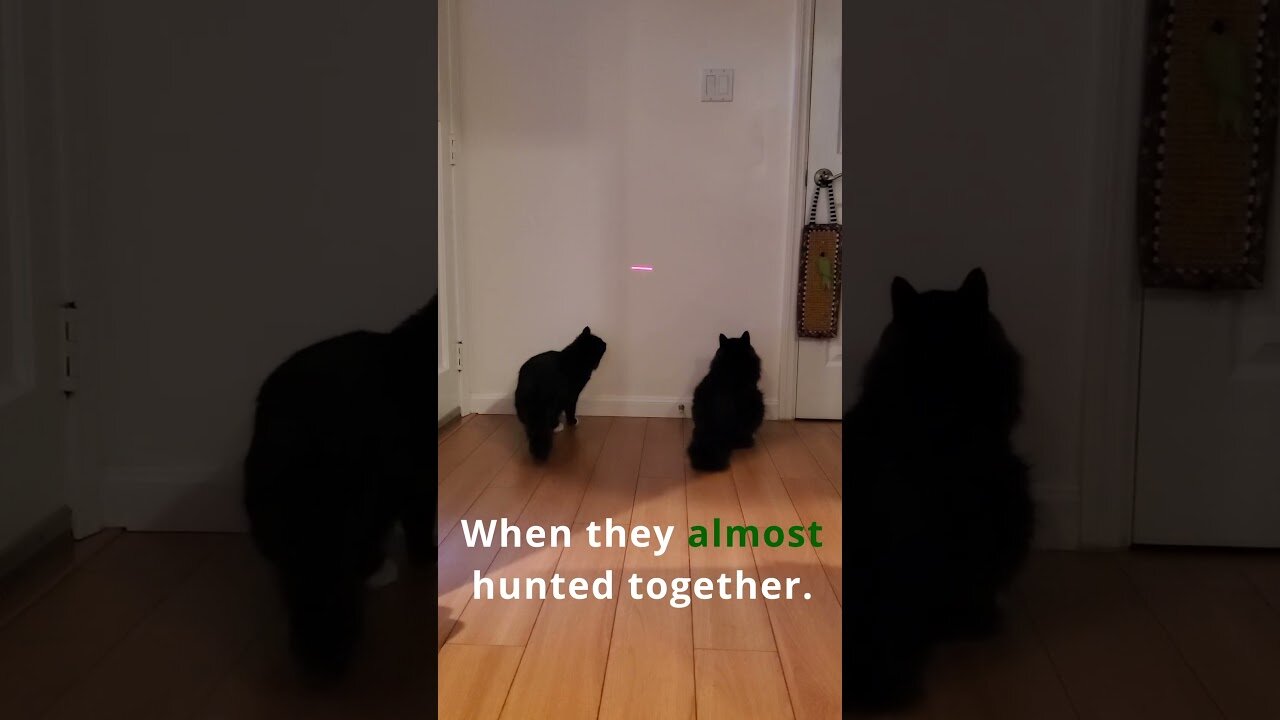Hunt Together