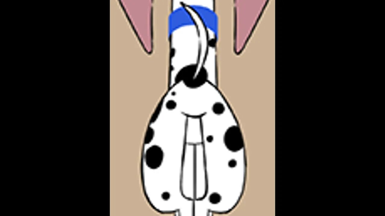 Clarissa Corgi Butt Moments