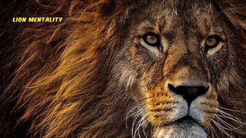 LION MENTALITY