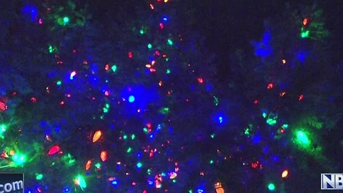 Peace Tree Lighting Ceremony