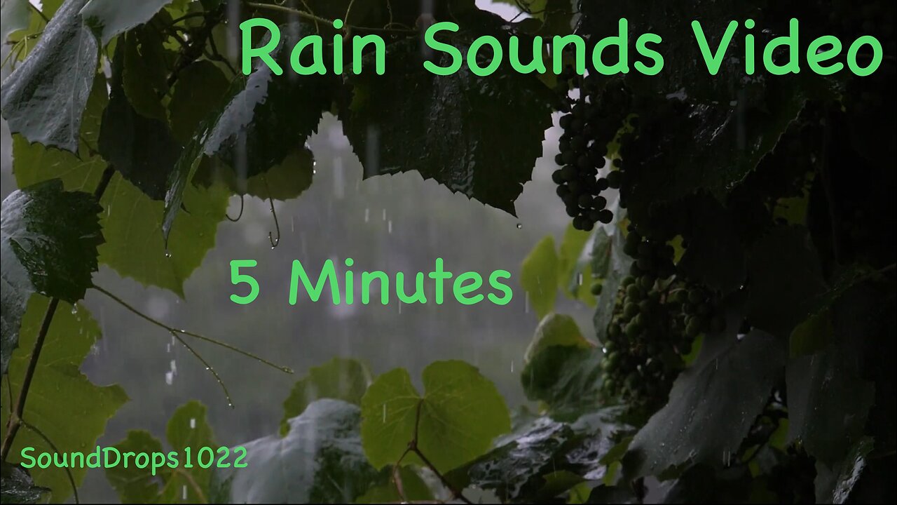 5-Min Rain Bliss: Quick Relaxation Fix