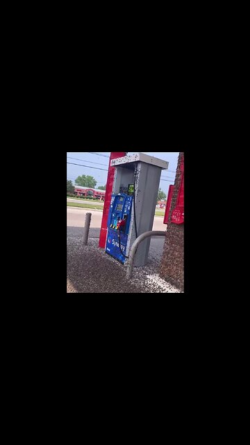 WTH!? 😮 Macomb County, Michigan: Fishflies Hatched & Taking Over Gas Pumps, Lights, and Homes.