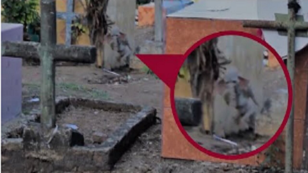 SCARIEST VIDEOS ON THE INTERNET THAT ARE TRULY TERRIFYING