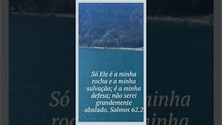 VERSÍCULO DO DIA 28/08/2022.#shorts