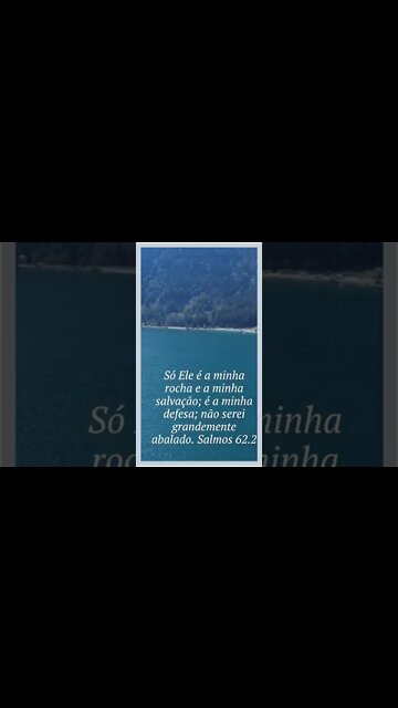 VERSÍCULO DO DIA 28/08/2022.#shorts