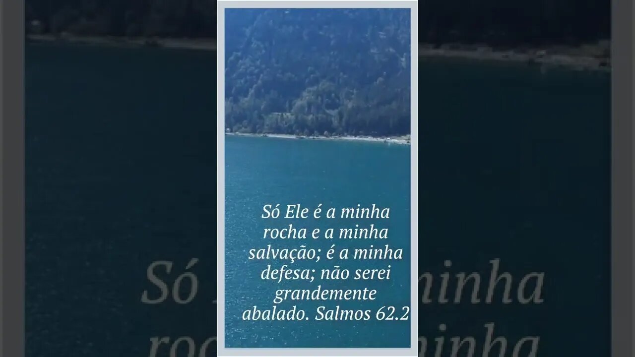 VERSÍCULO DO DIA 28/08/2022.#shorts
