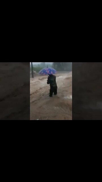 ۳۱ ژوئیهٔ ۲۰۲۲