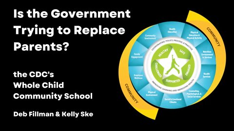 Is the Government Trying to Replace Parents?