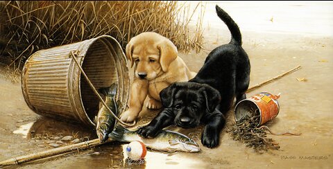 We got caught! A selection of funny cats and dogs for a good mood!
