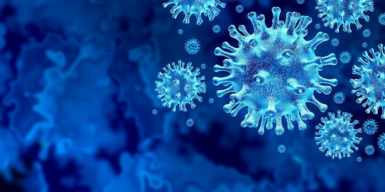 The Deadliest viruses in human history