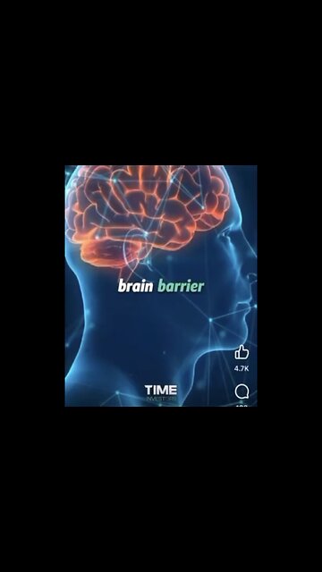 INTERNET WIFI RADIATION EXPOSURE🛜📳🤯⚠️DAMAGES THE BRAIN BLOOD BARRIER☢️📡🛜📳🧠💫