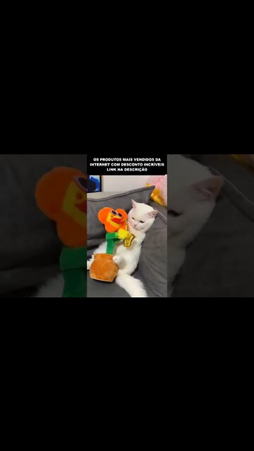 JÁ ASSISTI ESSE VIDEO MAIS DE 10 VEZES