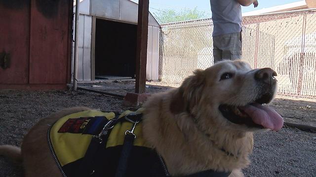 Good dog! Dog saves man from house fire