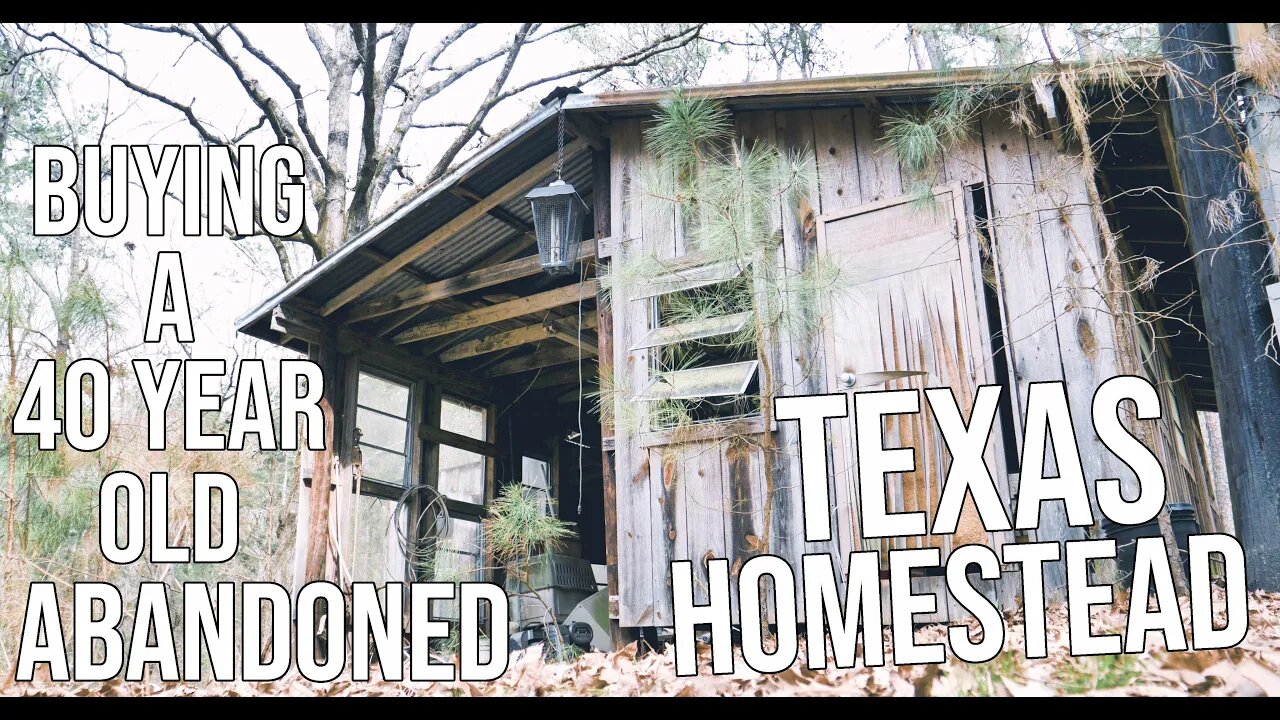 Will We Buy A 40 Year Old Abandoned Homestead?/ WE NEED YOUR HELP!