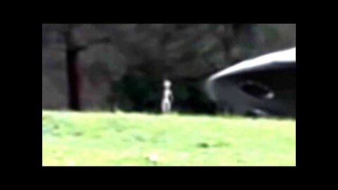 REEL UFO 2022