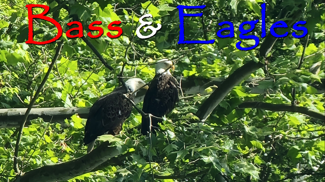 Bass & Eagles