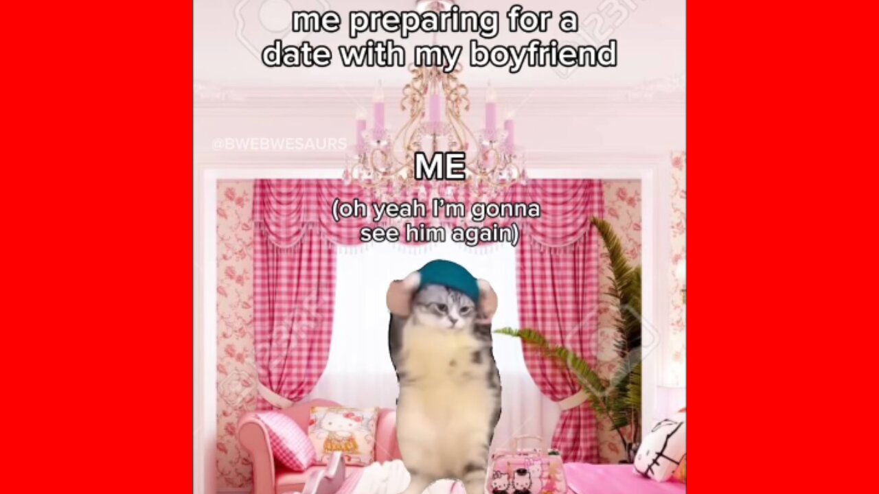 Cats meme part:12