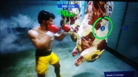 🥊 creed boxing champions 🥊 by Jack the Irish wolfhound
