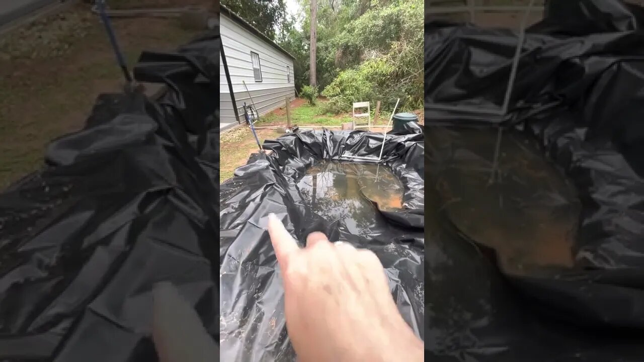 Step 5 of new koi pond.