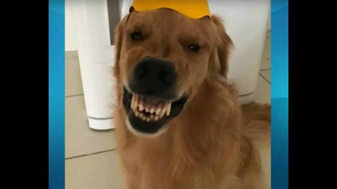 Os melhores momentos engraçados de comédias