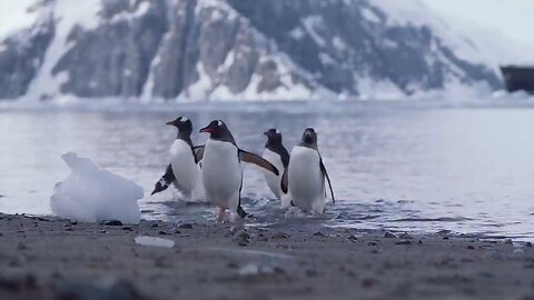 Antarctica the frozen continent