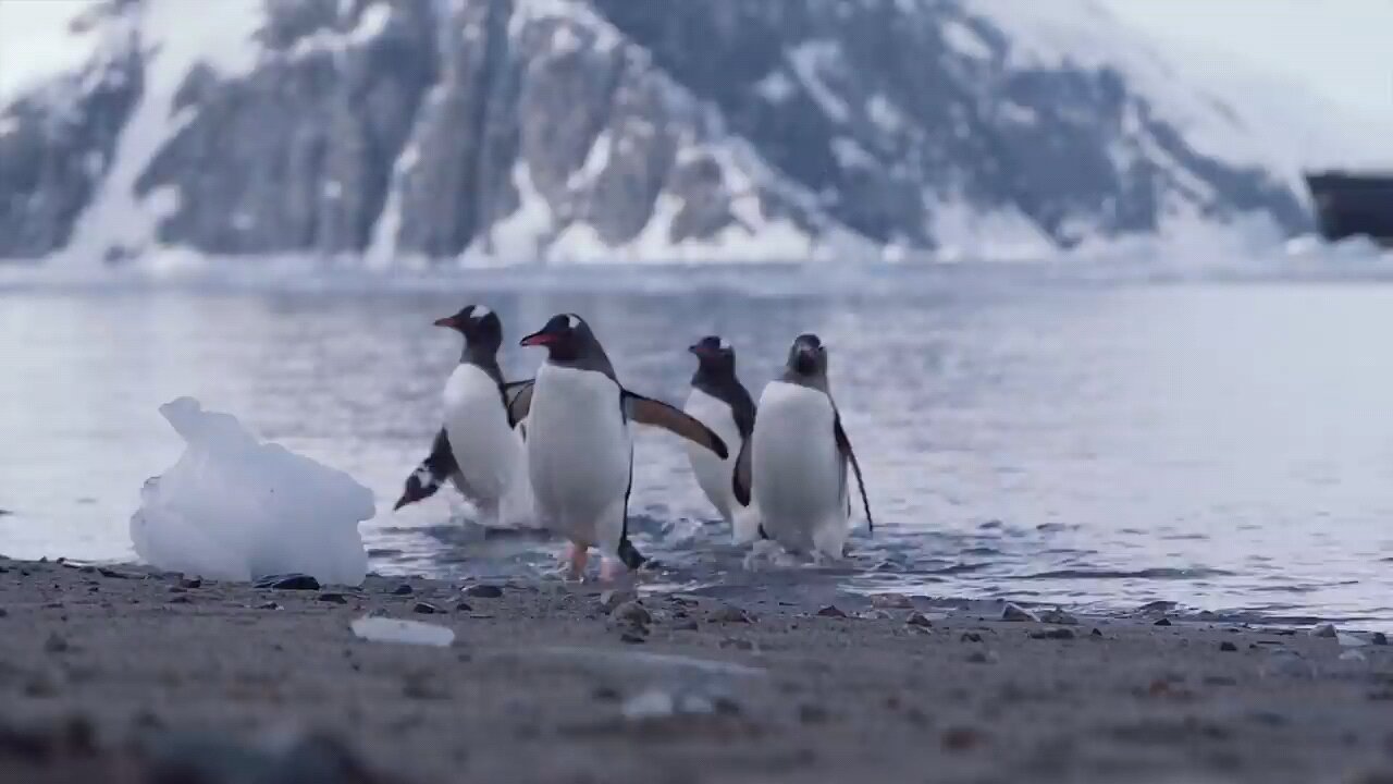 Antarctica the frozen continent