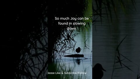 Joy in Slowing Down