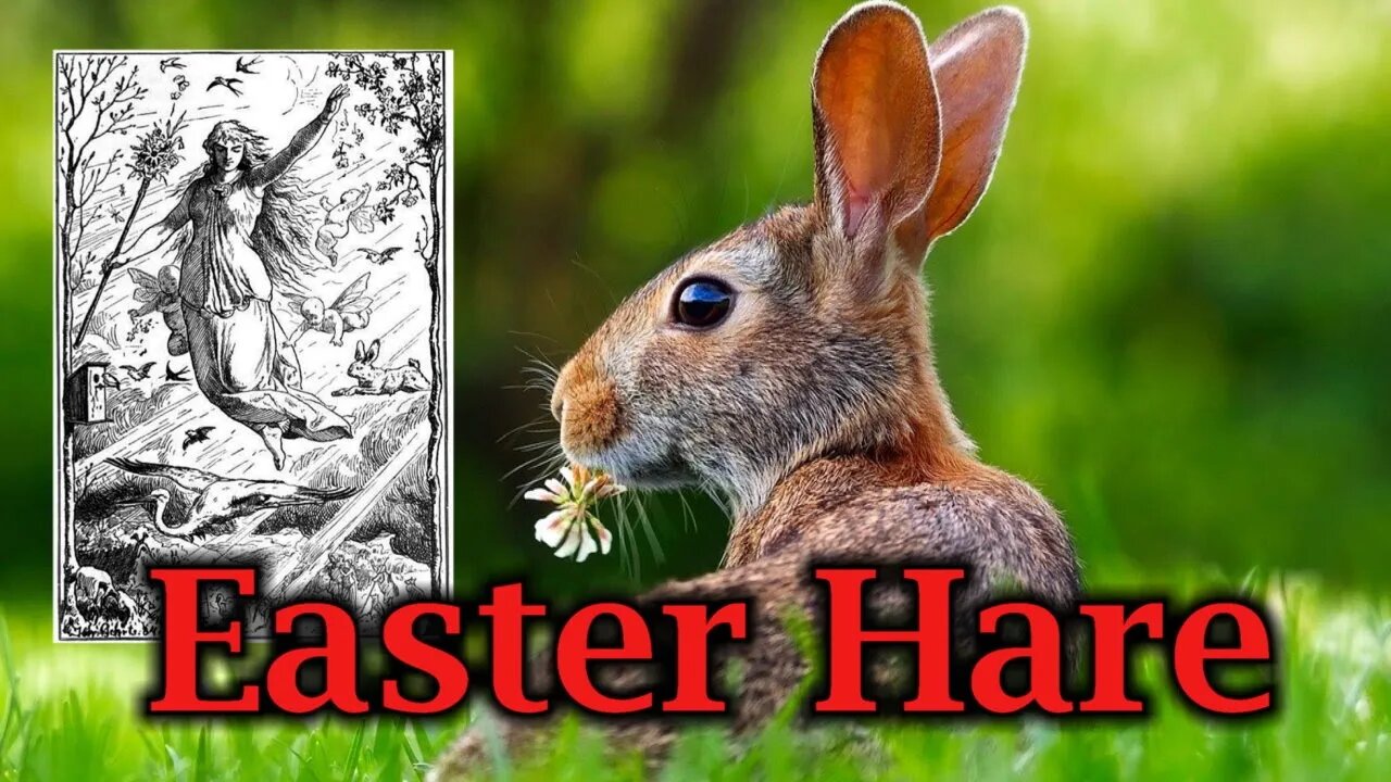 Easter Hare