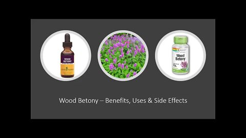 Wood Betony - Herbal Medicine - Benefits, Uses & Side Effects