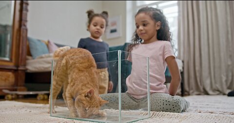 Baby and Cat Fun and Cute - Funny Baby Video
