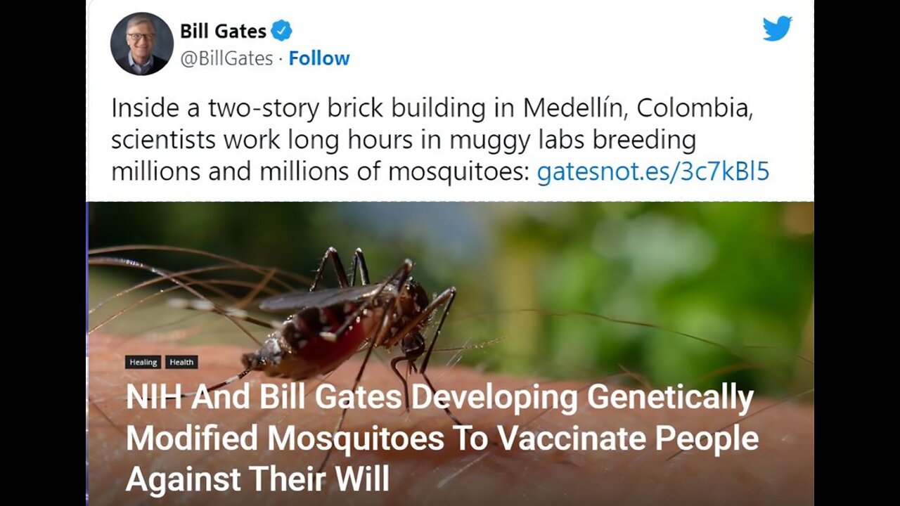 NIH And Bill Gates Developing Genetically Modified Mosquitoes To Vaccinate People Against Their Will