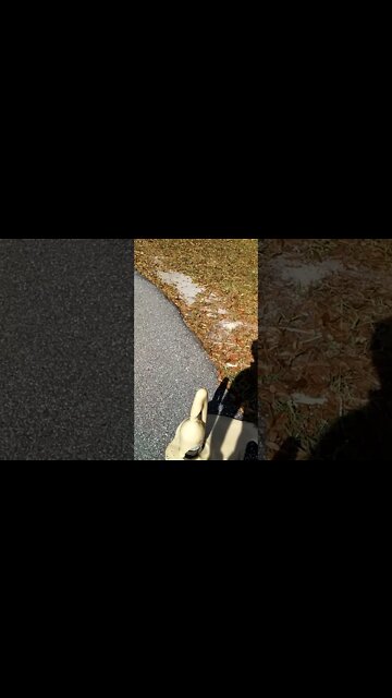 Mentos in a 2 Liter Diet Coke Bottle | TBrown0065 #shorts