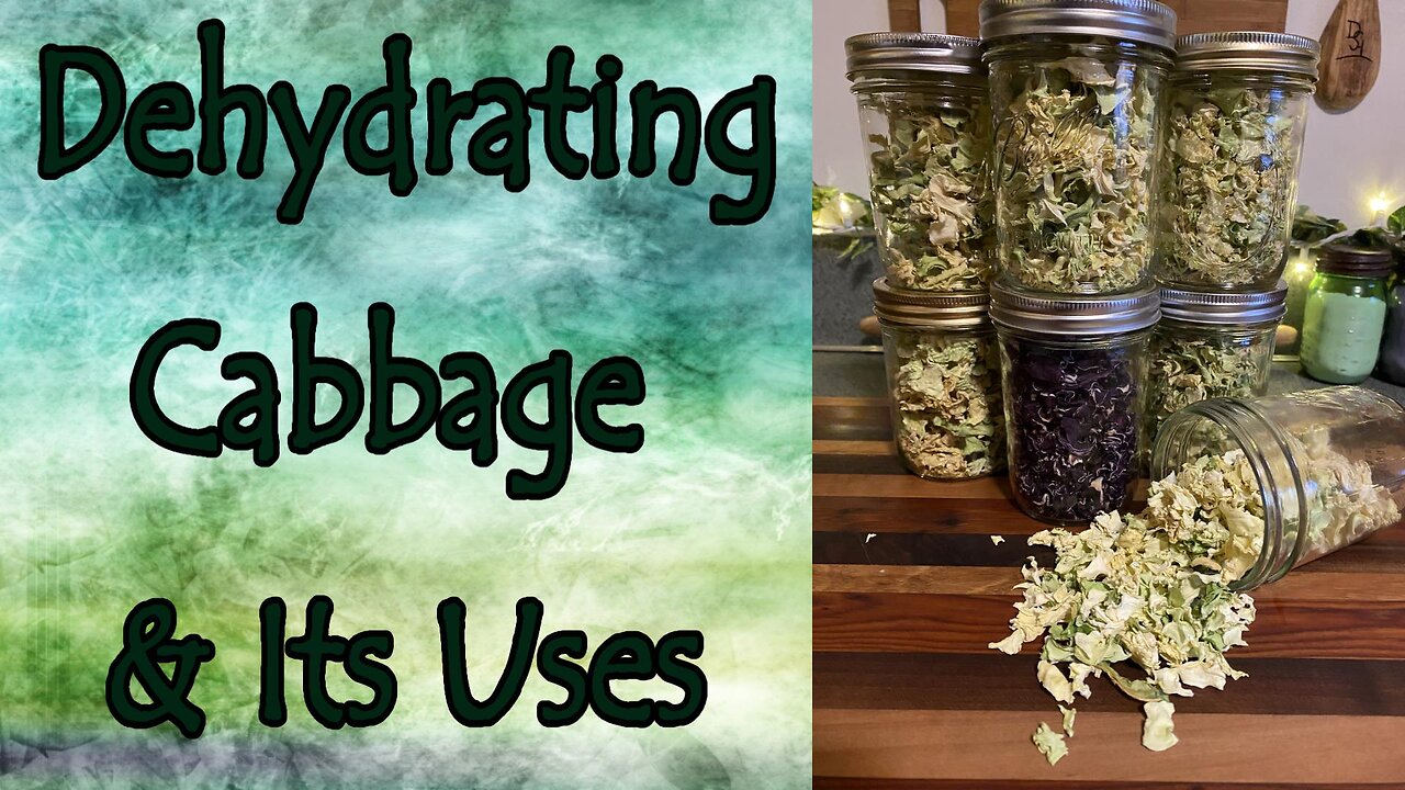 Dehydrating Cabbage and Its Uses