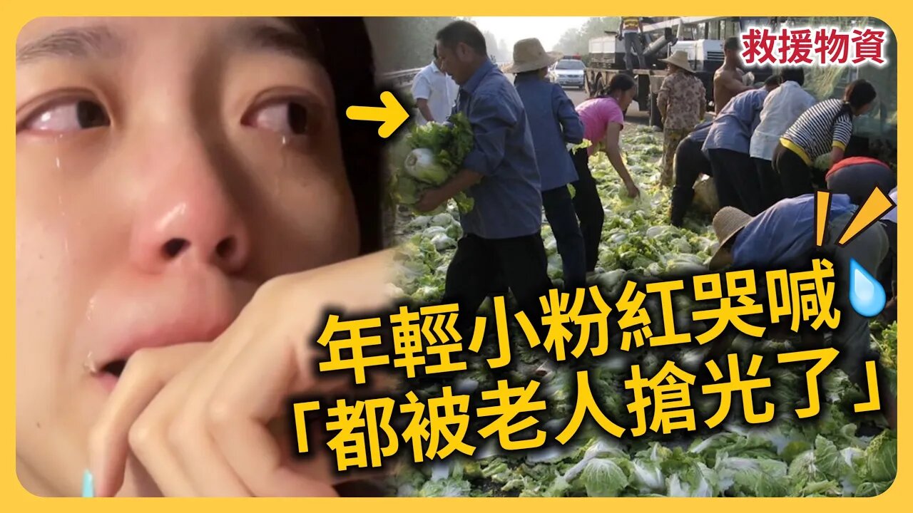 食物遭老人哄搶⋯小粉紅淚喊「我們吃啥」？