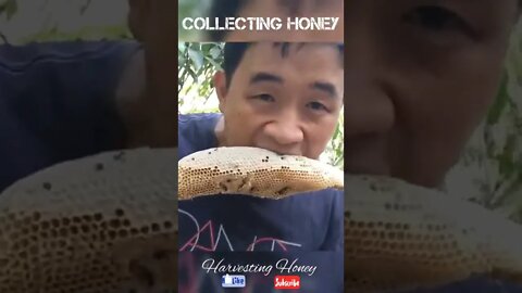 Satisfying with the pure Honey!😋🥰#honey #viral #shorts #foryou