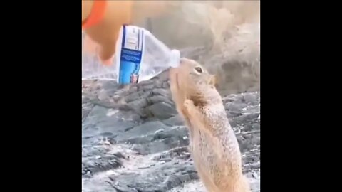 Thirsty , some water please