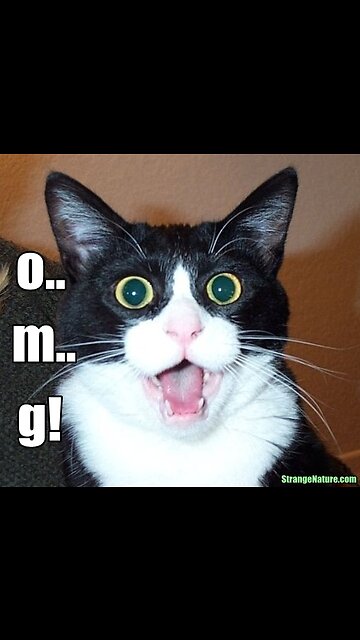 OMG really stinkin yeah good