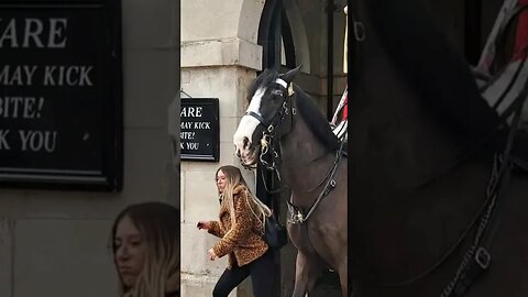 Get out #horseguardsparade