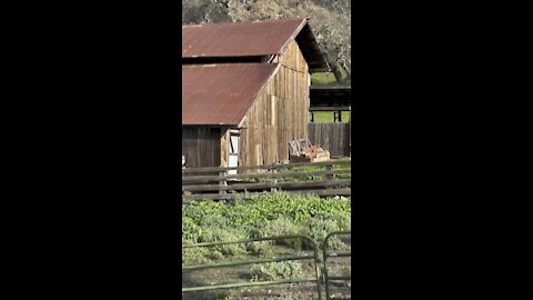 Borges Ranch