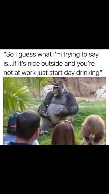 Time Out For Animal Love Videos !