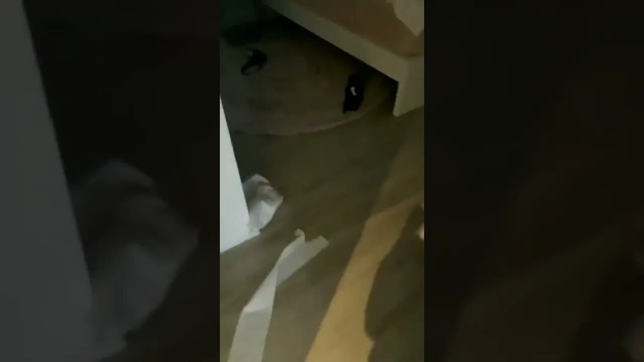 It wasn’t me.. 😅