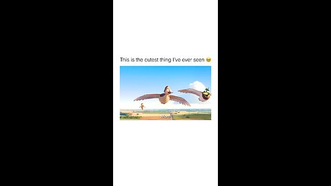 Funny